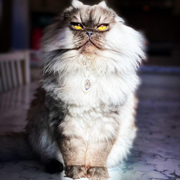 BUY MY TRASH! - Picture 9 of 16